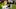 Baltimore Ravens, Trayvon Mullen Baltimore Ravens, Trayvon Mullen