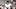 Baltimore Ravens, Tylan Wallace Baltimore Ravens, Tylan Wallace