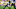 Baltimore Ravens v Pittsburgh Steelers, Mark Andrews Baltimore Ravens v Pittsburgh Steelers, Mark Andrews