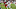 Baltimore Ravens v Arizona Cardinals, Rashod Bateman Baltimore Ravens v Arizona Cardinals, Rashod Bateman