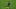 Rodrygo