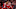 Virgil van Dijk, Alexis Mac Allister