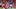 Assane Diao, Ronald Araujo Assane Diao, Ronald Araujo