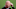 Alan Shearer