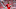 Bruno Fernandes Bruno Fernandes
