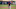 Mets
