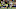NY Jets, DK Metcalf NY Jets, DK Metcalf