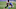 NY Jets, Will Fuller NY Jets, Will Fuller