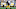 Myles Jack Myles Jack