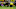 Sergi Palencia, Yaw Yeboah Sergi Palencia, Yaw Yeboah