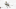 Brendan Brisson Brendan Brisson