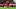 Luis Díaz scored a hat-trick against Leipzig on Saturday