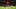 Alphonso Davies scored the equalizer for Bayern against Arsenal