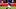 Aberdeen v Rangers - William Hill Premiership - Pittodrie Stadium Aberdeen v Rangers - William Hill Premiership - Pittodrie Stadium