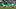 Kevin Kelsy, Cameron Carter-Vicker Kevin Kelsy, Cameron Carter-Vicker