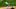 Jacob deGrom Jacob deGrom