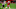 Kyler Murray Kyler Murray