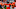 Brandon Marshall, Denver Broncos Brandon Marshall, Denver Broncos