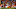 Aaron Rodgers, Denver Broncos Aaron Rodgers, Denver Broncos