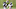 Ja'Quan McMillian, Denver Broncos Ja'Quan McMillian, Denver Broncos