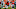 C.J. Anderson, Denver Broncos C.J. Anderson, Denver Broncos