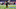 Ji'Ayir Brown, Cleveland Browns Ji'Ayir Brown, Cleveland Browns