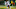 Chicago Bears, Devin Hester Chicago Bears, Devin Hester