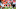 Chicago Bears v Tampa Bay Buccaneers, Lucas Patrick Chicago Bears v Tampa Bay Buccaneers, Lucas Patrick
