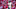 Chicago Bears, Jaylon Johnson Chicago Bears, Jaylon Johnson