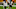 Andrew Billings, DeMarcus Walker Andrew Billings, DeMarcus Walker