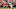 Las Vegas Raiders v Chicago Bears, Davante Adams, Jaylon Johnson Las Vegas Raiders v Chicago Bears, Davante Adams, Jaylon Johnson