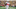 Chicago Bears, Marvin Harrison Jr. Chicago Bears, Marvin Harrison Jr.