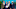Mike Mcdaniel, Tom Garfinkel, Stephen M. Ross, Chris Grier"n Mike Mcdaniel, Tom Garfinkel, Stephen M. Ross, Chris Grier"n