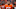 Dalton Risner Dalton Risner