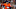 Alex Bregman Alex Bregman
