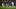 Sam Kerr, Ellie Roebuck