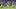Tigres UANL v America - Torneo Clausura 2023 Liga MX