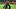Jonathan Tah, Rober Andrich, Amine Adli