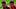 Fernando Torres, Diego Pablo Simeone