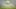 Al Ittihad v Al Nassr - Saudi Pro League