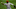 Jo Adell Jo Adell