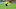Borussia Dortmund v Eintracht Frankfurt - Bundesliga
