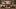 French drawing of an ancient marriage ceremony French drawing of an ancient marriage ceremony