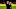 Graham Potter Graham Potter