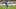 Timothy Weah Timothy Weah