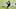United States Training & Media Availability - FIFA World Cup 2026 United States Training & Media Availability - FIFA World Cup 2026