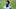 FBL-WC-2026-TRAINING-BRA