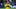 TOPSHOT-FBL-WC-2026-MATCH12-SWE-TUN TOPSHOT-FBL-WC-2026-MATCH12-SWE-TUN