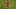 TOPSHOT-FBL-WC-2018-MATCH35-IRI-POR