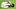 Real Madrid CF v Real Betis Balompie - LaLiga EA Sports